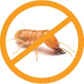 No Termites