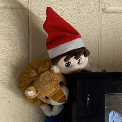 Elf and Lion Hiding