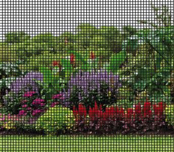 BetterVue® (Standard)