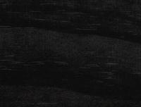 Painted Black
