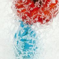 Glue Chip (Special order item)