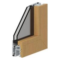 In-swing/Out-swing Alum Ext. Wood Int. Panel