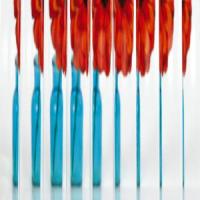 Reed (Special order item)