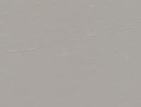 Painted Gray